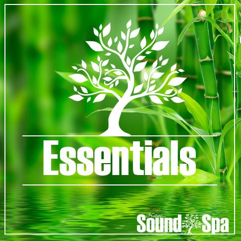 The Essential Nature Sounds