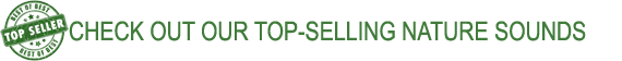 Check out our top-selling sounds