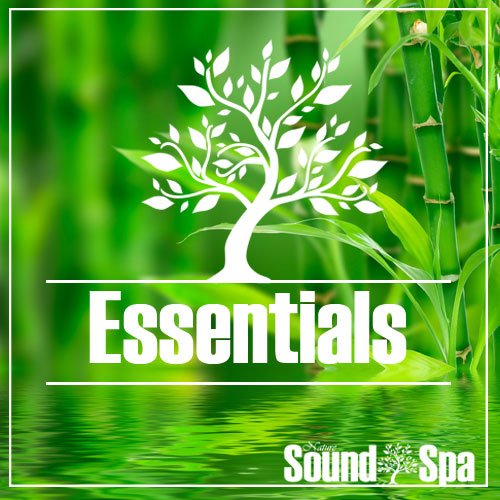 The Essentials Collection