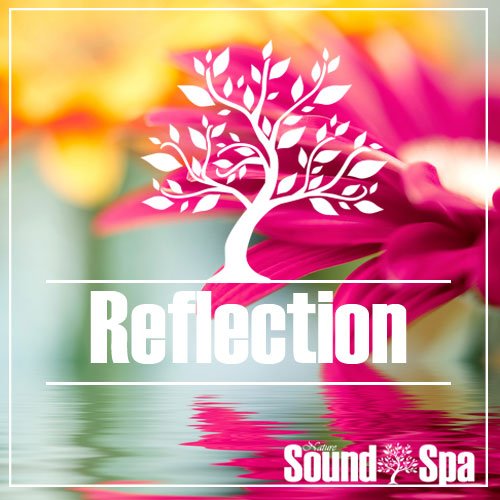 The Reflection Collection