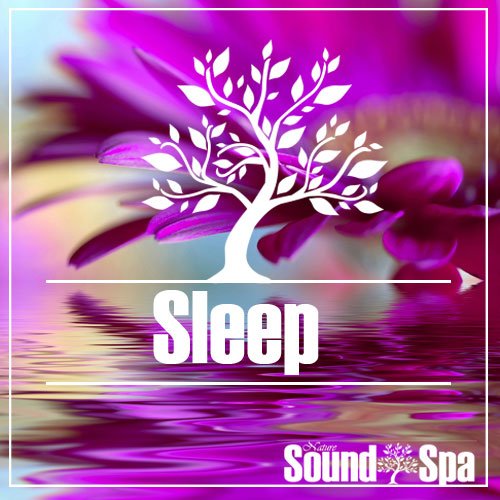 The Sleep Collection