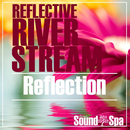 Reflective River Stream