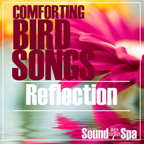 Comforting Bird Songs