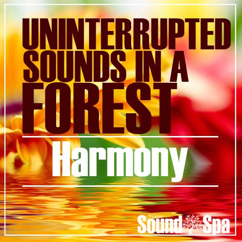 Uninterrupted Sounds In A Forest